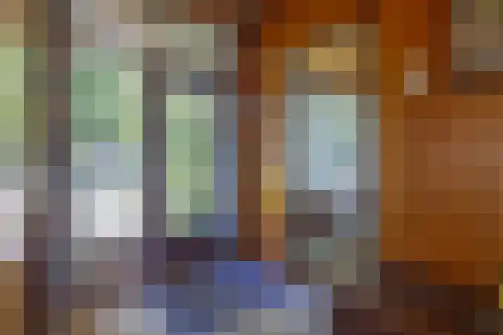 Berkenlaan 20 Waalwijk thumbnail 7