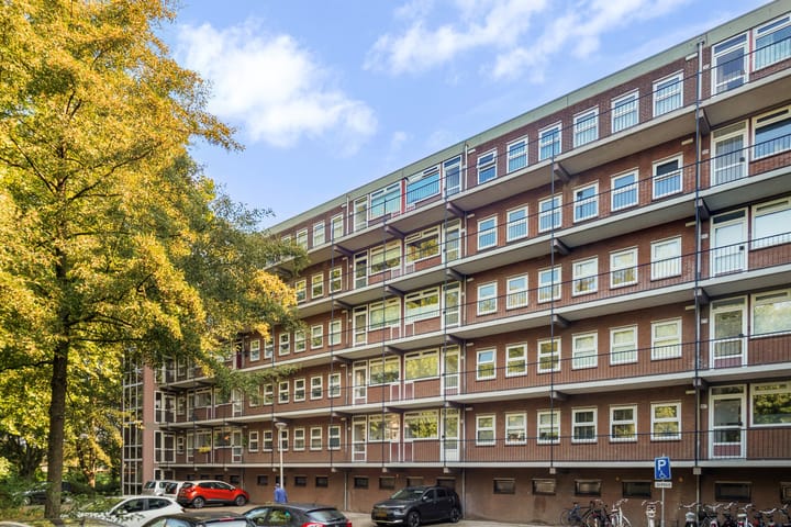 Berkenlaan 205 in Zutphen