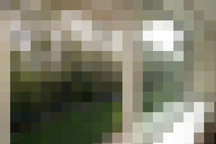 Berkenlaan 205 Zutphen thumbnail 11