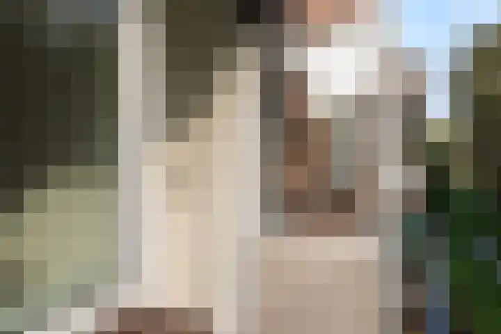 Berkenlaan 205 Zutphen thumbnail 12