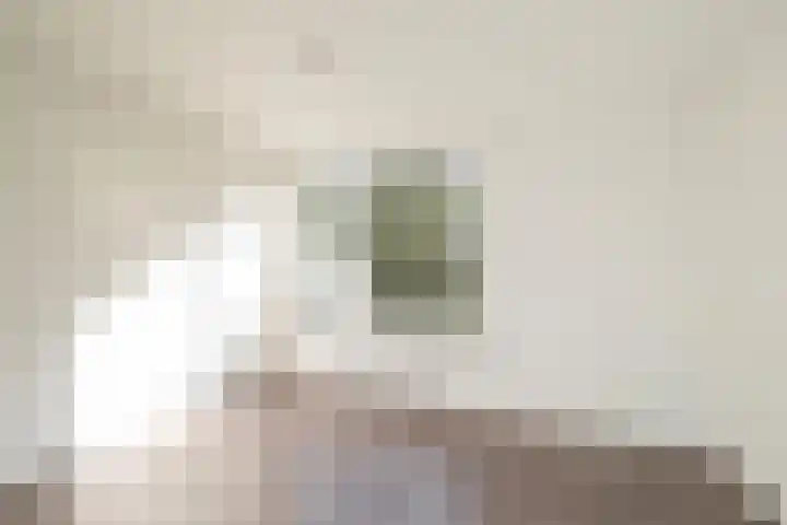 Berkenlaan 205 Zutphen thumbnail 17