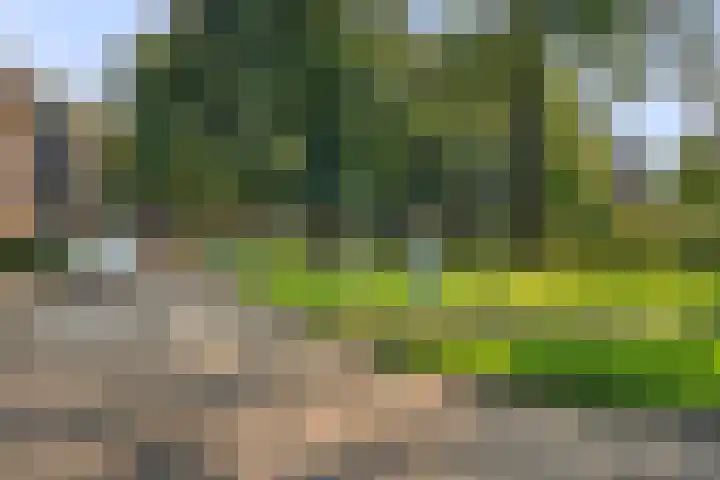 Berkenlaan 205 Zutphen thumbnail 20