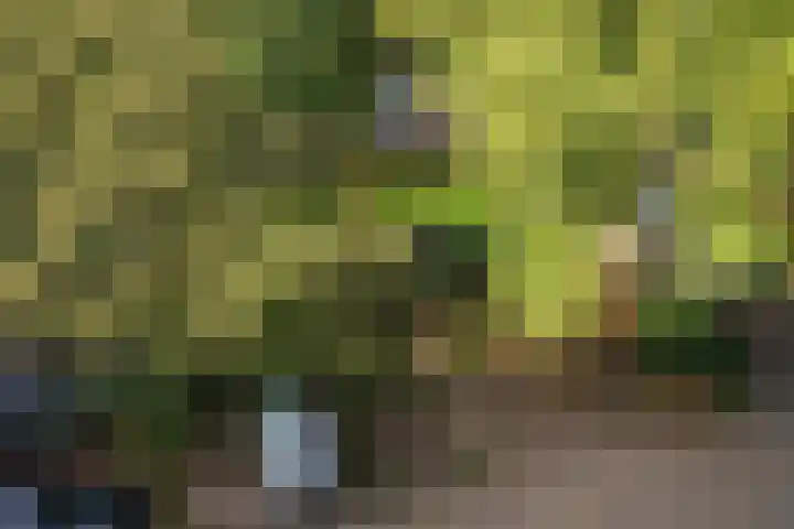 Berkenlaan 205 Zutphen thumbnail 21