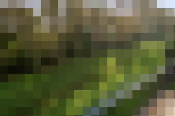 Berkenlaan 205 Zutphen thumbnail 22