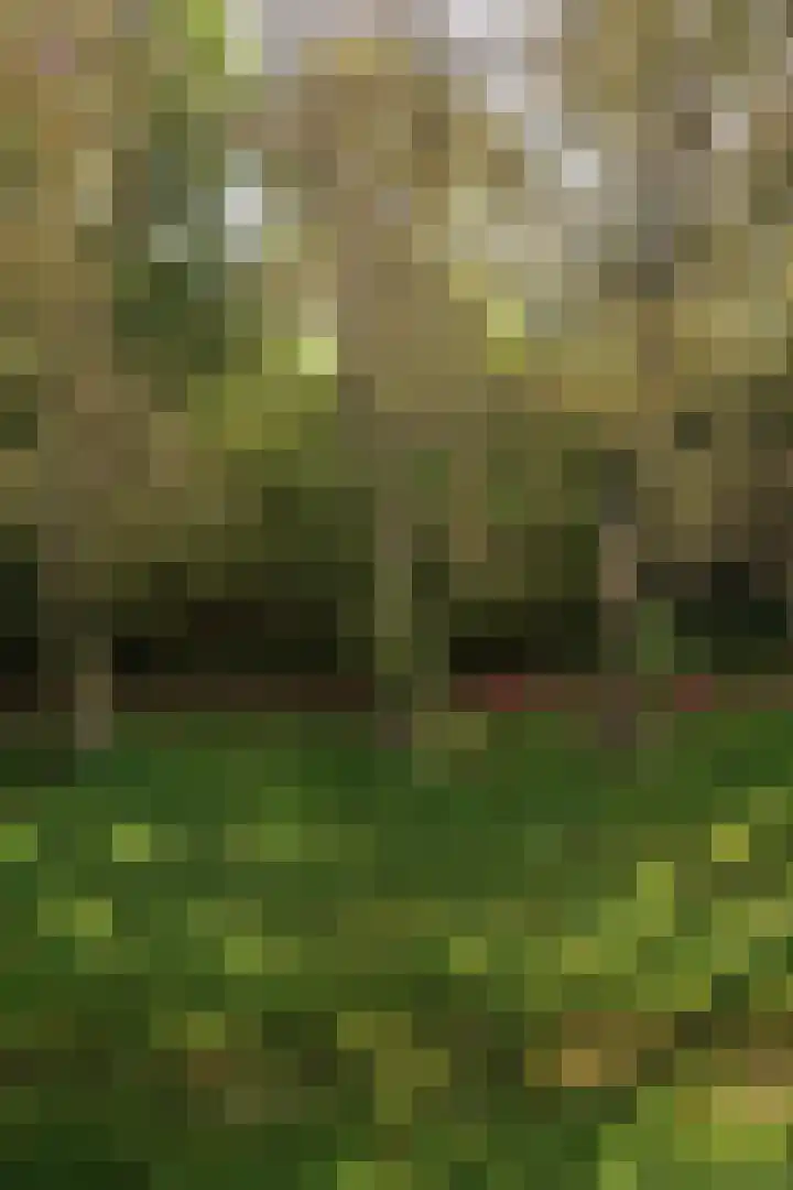 Berkenlaan 205 Zutphen thumbnail 23