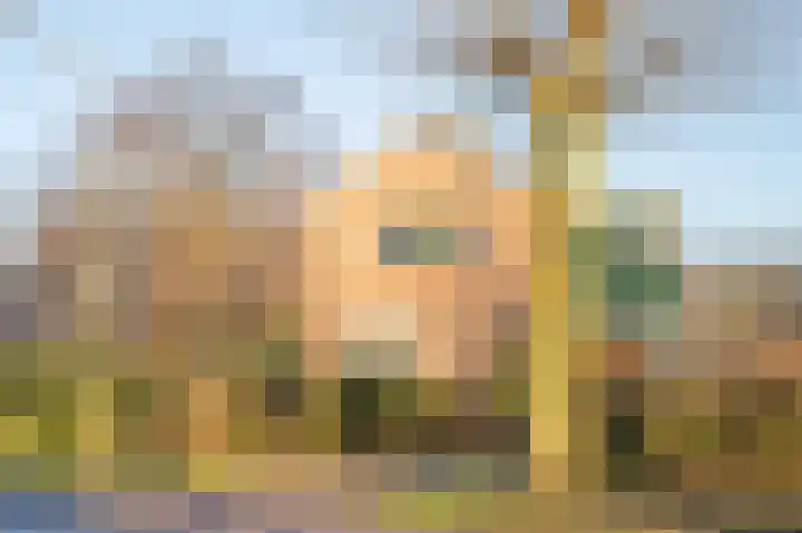 Berkenlaan 21 Tynaarlo thumbnail 36
