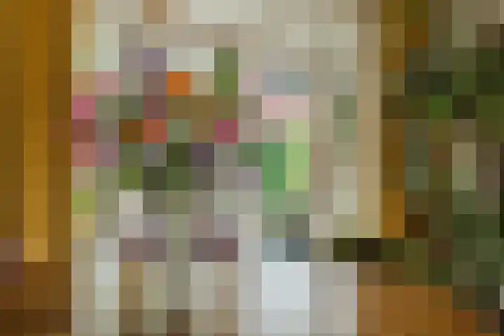 Berkenlaan 21 Zundert thumbnail 12