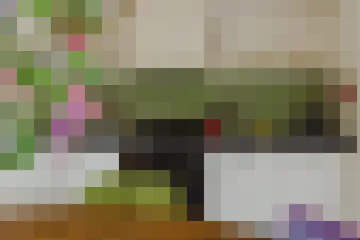 Berkenlaan 21 Zundert thumbnail 13