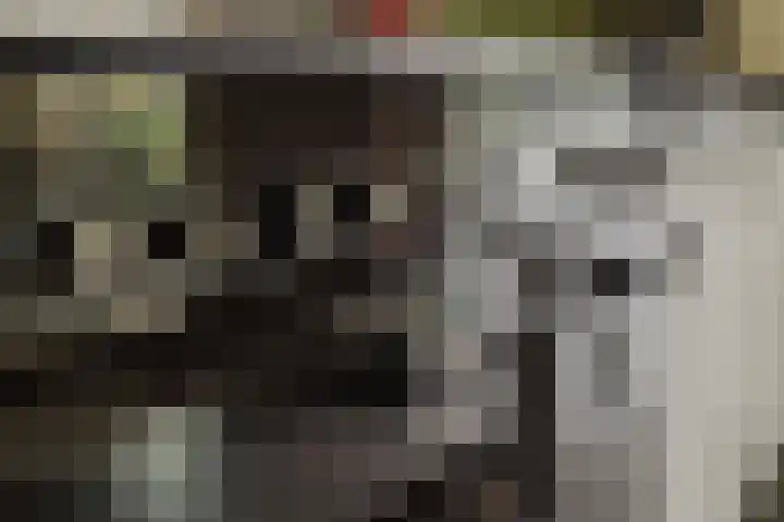 Berkenlaan 21 Zundert thumbnail 15