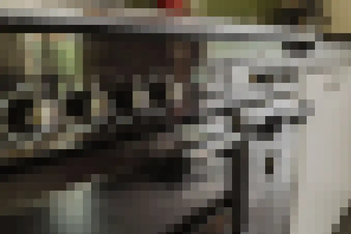 Berkenlaan 21 Zundert thumbnail 15