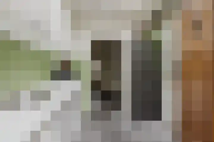 Berkenlaan 21 Zundert thumbnail 20