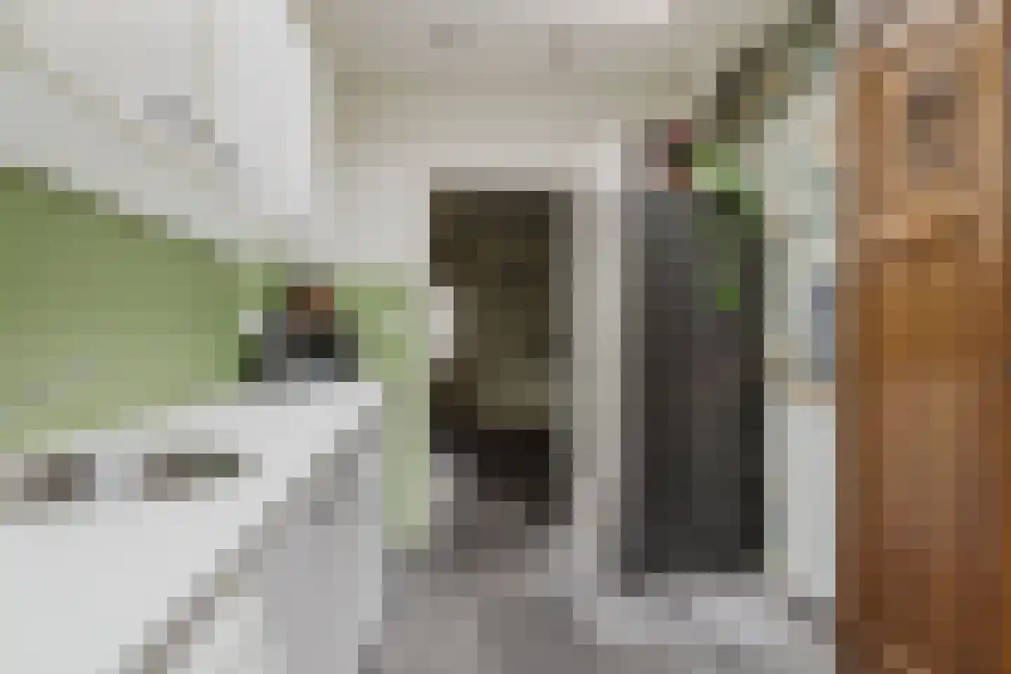 Berkenlaan 21 Zundert thumbnail 20