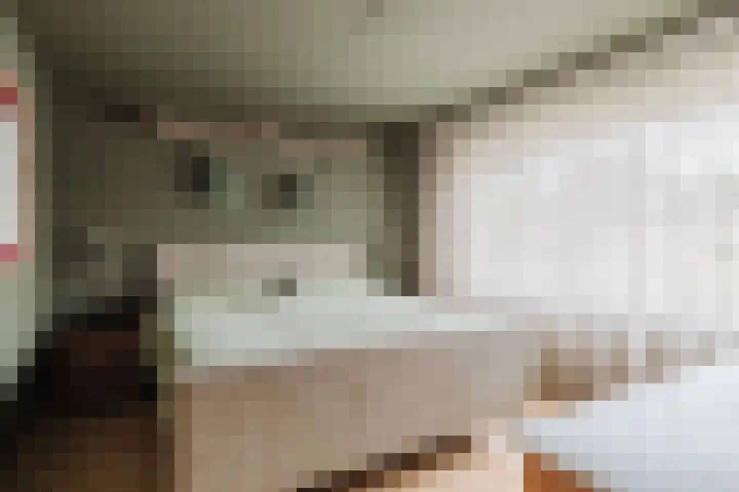 Berkenlaan 21 Zundert thumbnail 22