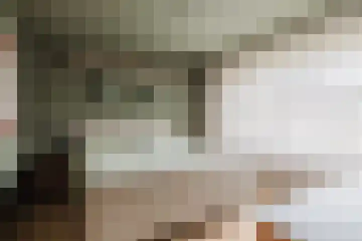 Berkenlaan 21 Zundert thumbnail 22