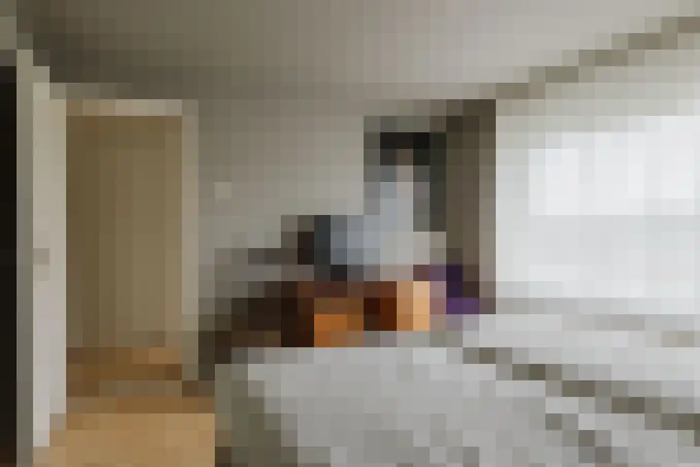 Berkenlaan 21 Zundert thumbnail 25