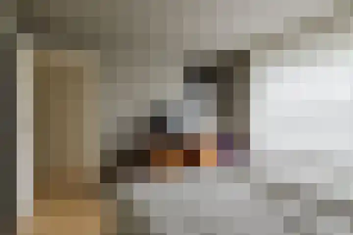 Berkenlaan 21 Zundert thumbnail 25