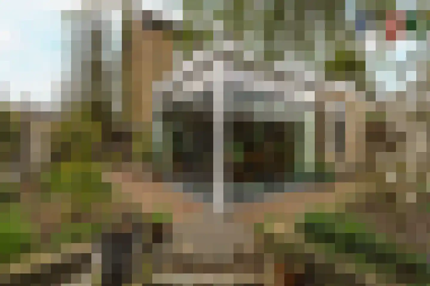 Berkenlaan 21 Zundert thumbnail 31