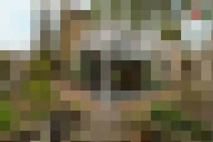 Berkenlaan 21 Zundert thumbnail 31