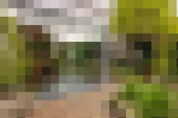Berkenlaan 21 Zundert thumbnail 32