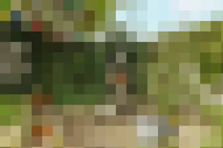 Berkenlaan 21 Zundert thumbnail 35