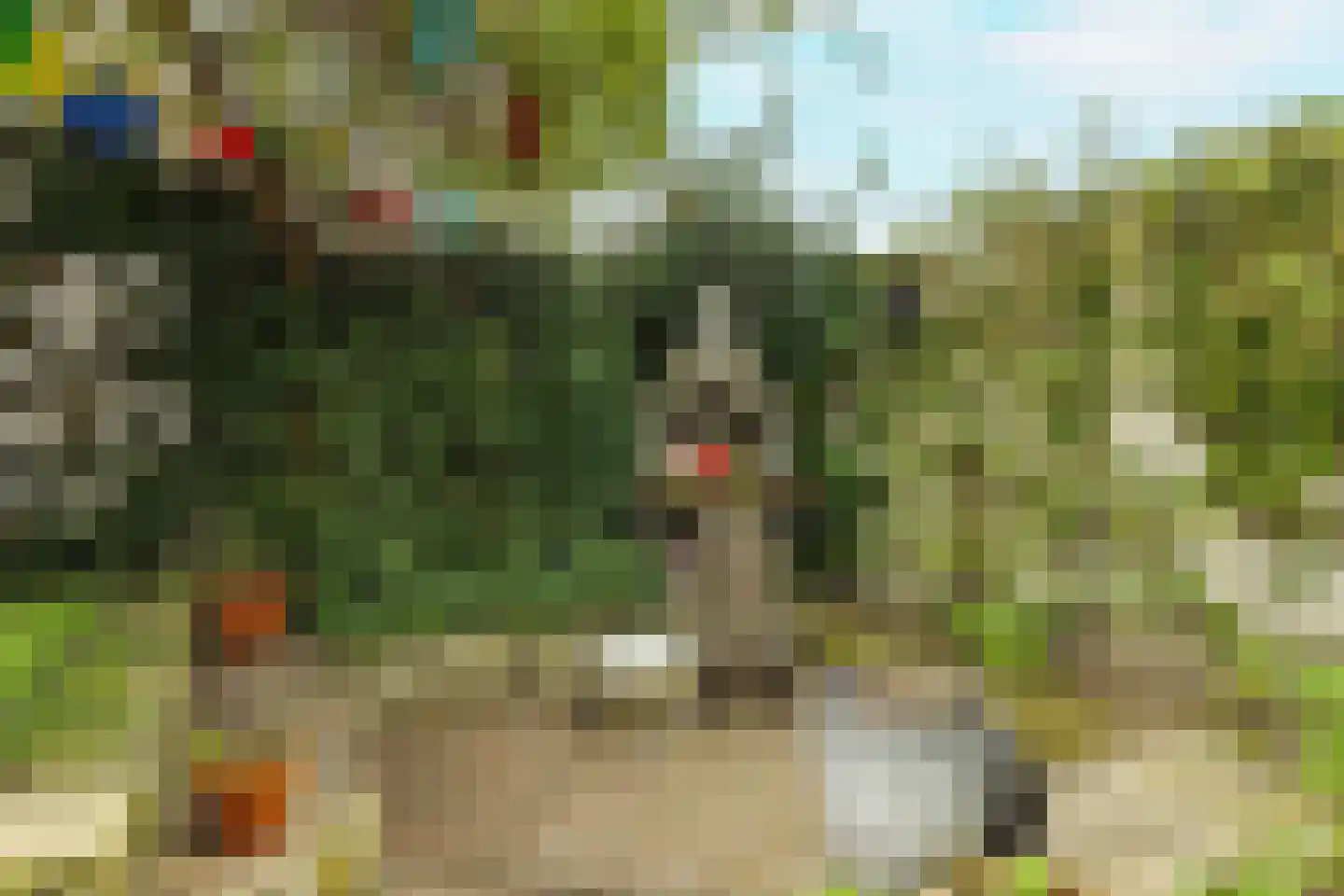 Berkenlaan 21 Zundert thumbnail 35