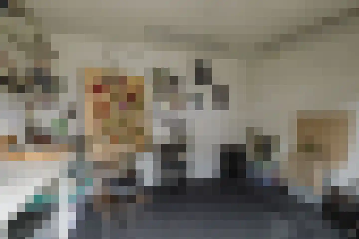 Berkenlaan 21 Zundert thumbnail 38