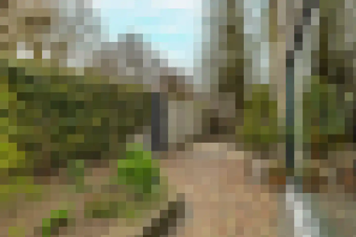 Berkenlaan 21 Zundert thumbnail 39