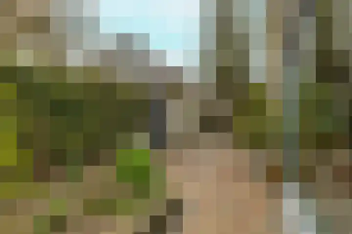 Berkenlaan 21 Zundert thumbnail 39