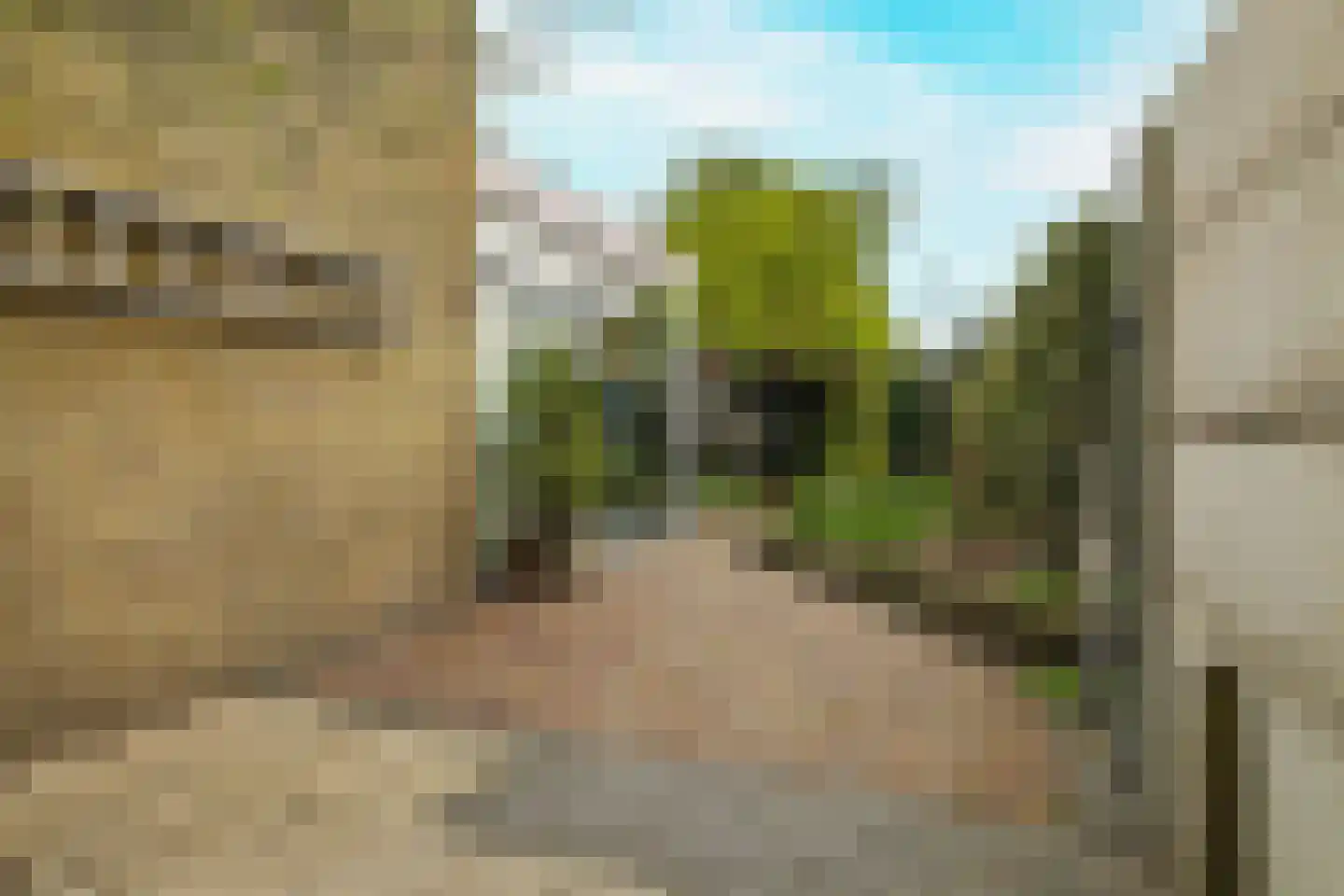 Berkenlaan 21 Zundert thumbnail 40