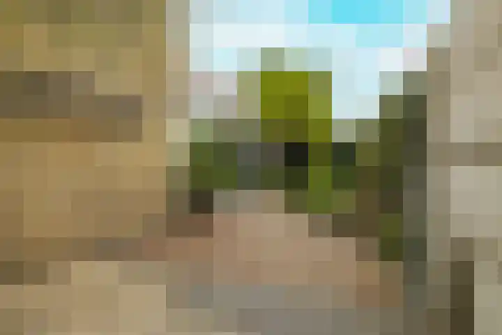 Berkenlaan 21 Zundert thumbnail 40