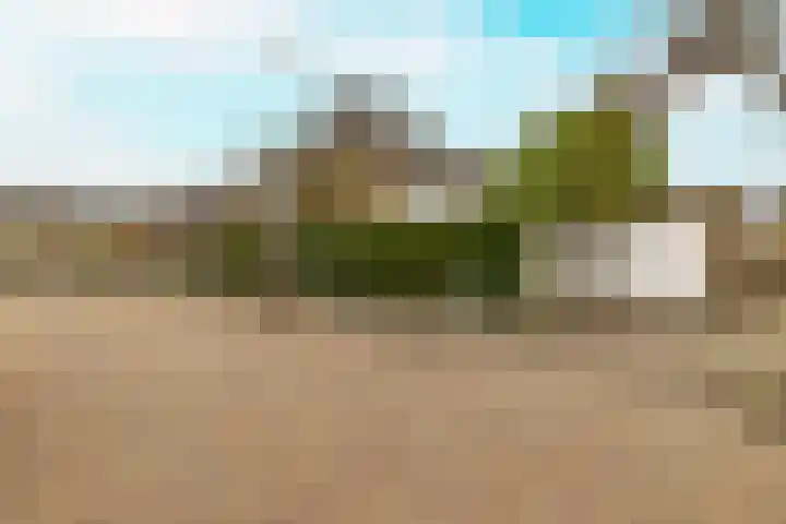 Berkenlaan 21 Zundert thumbnail 42