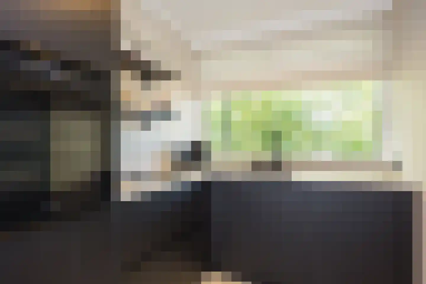Berkenlaan 211 Zutphen thumbnail 11