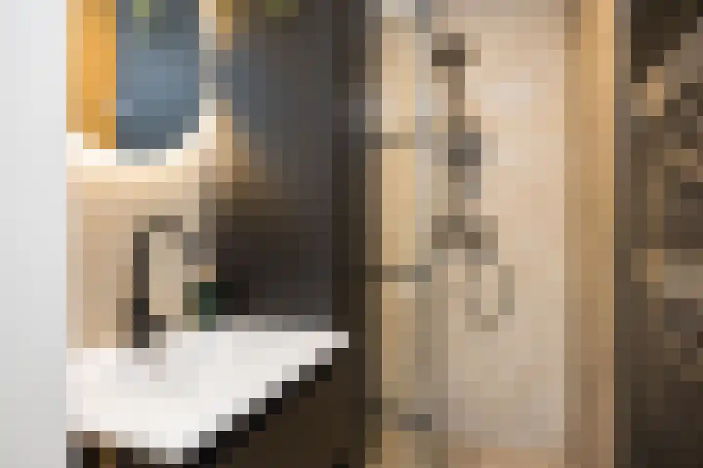 Berkenlaan 211 Zutphen thumbnail 16
