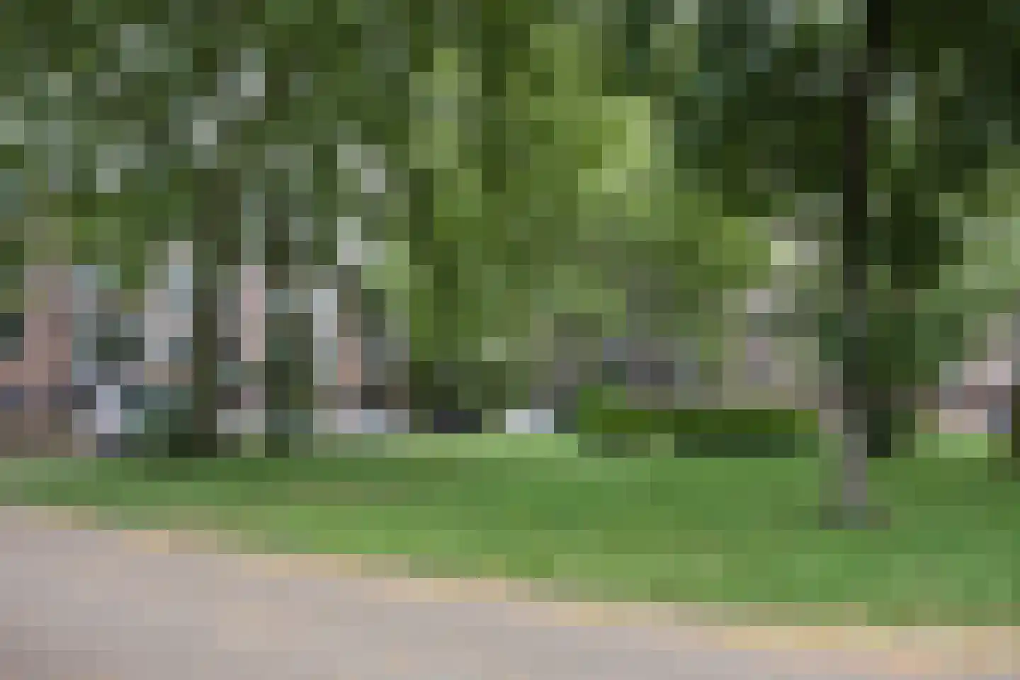 Berkenlaan 211 Zutphen thumbnail 18