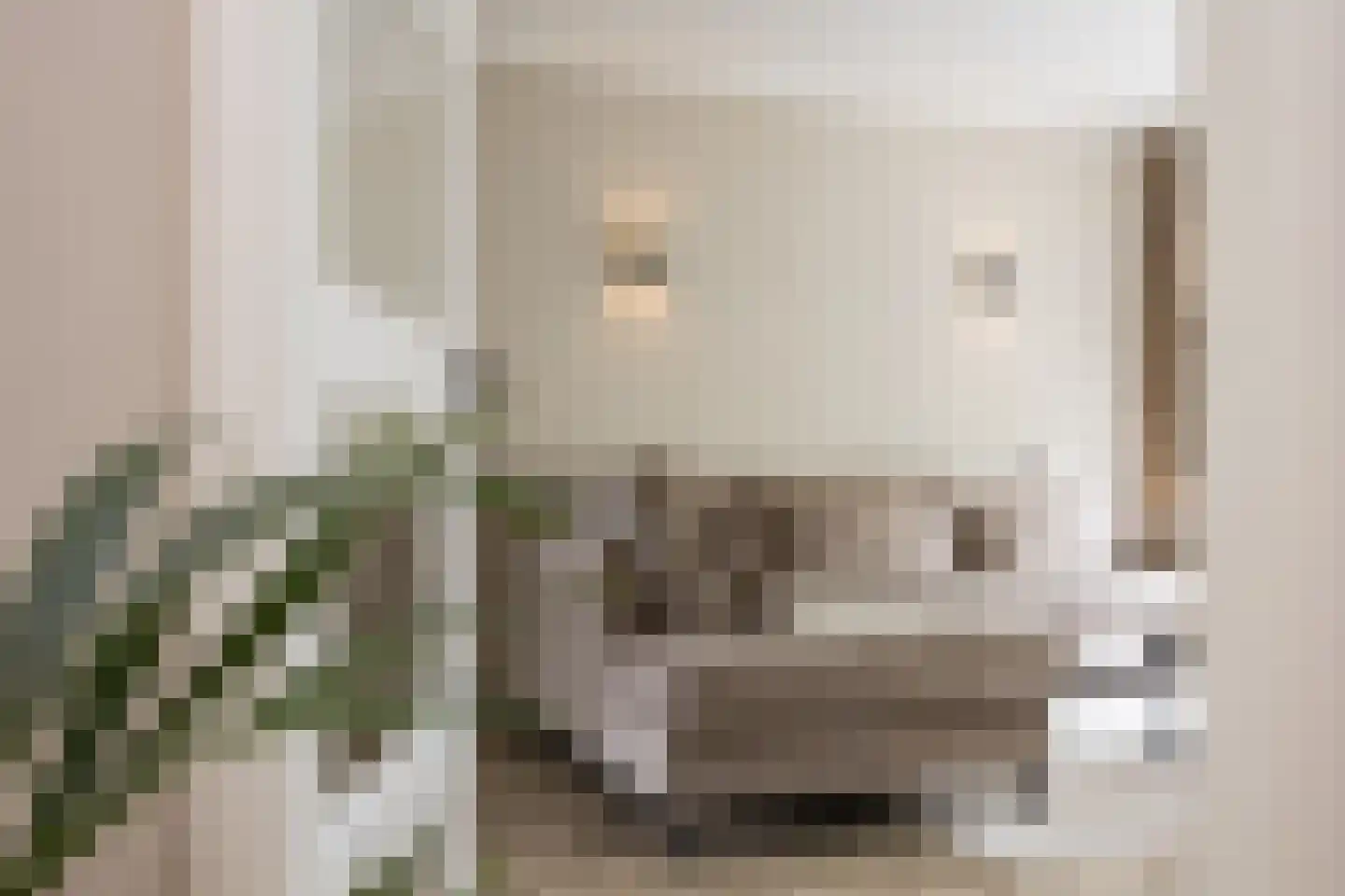 Berkenlaan 211 Zutphen thumbnail 4