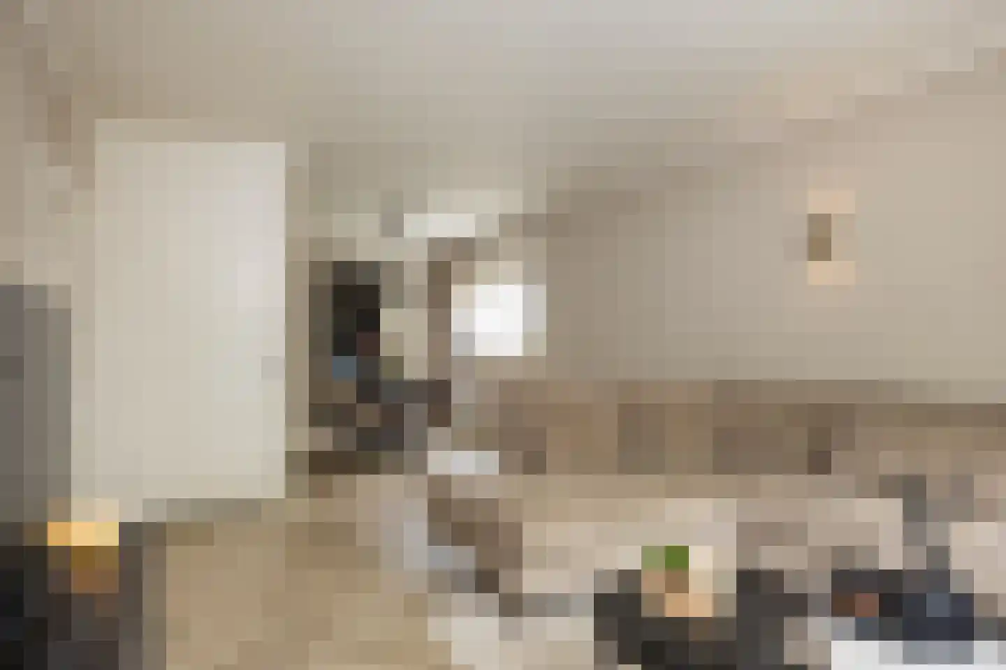 Berkenlaan 211 Zutphen thumbnail 6