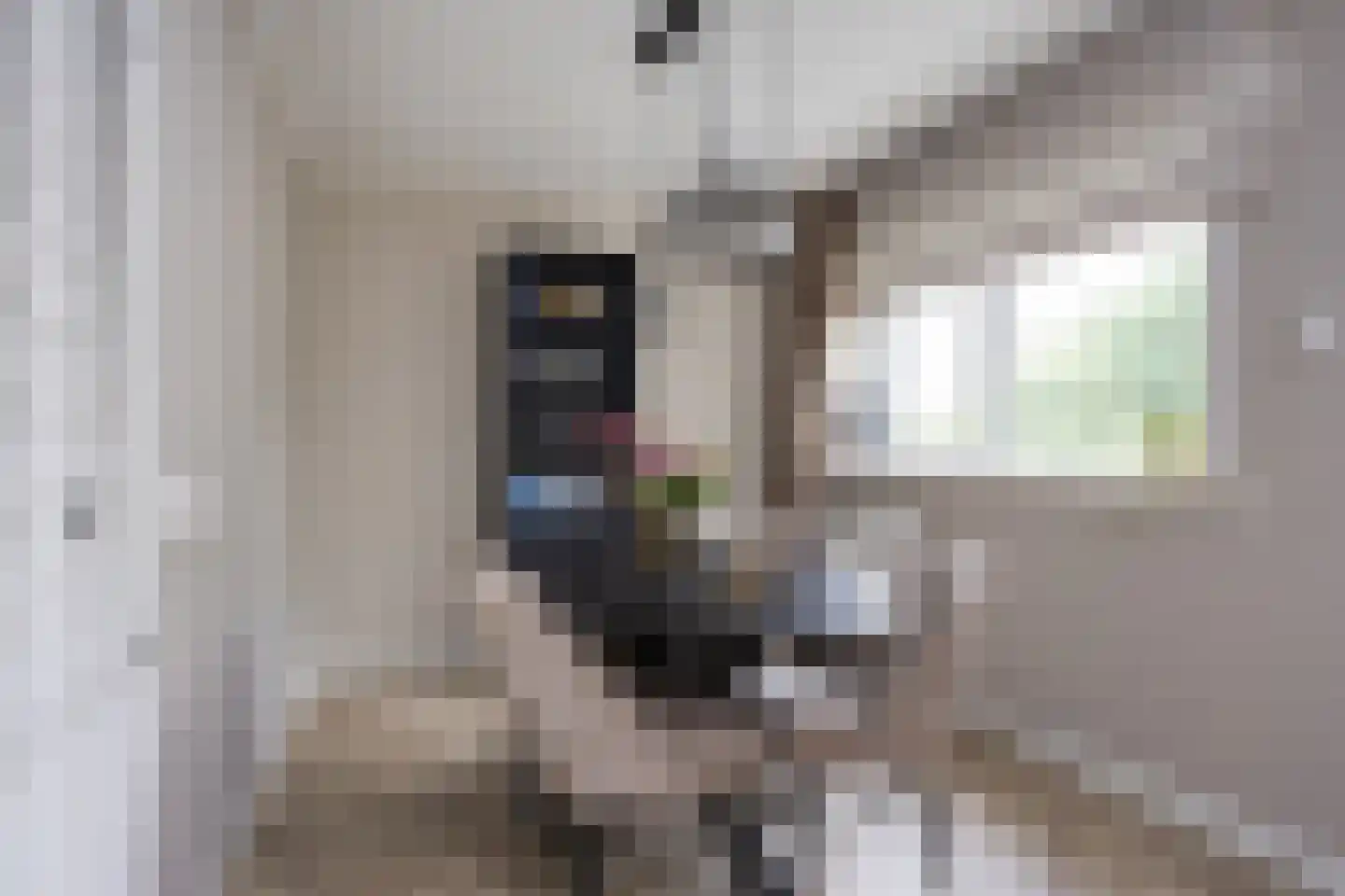 Berkenlaan 211 Zutphen thumbnail 7
