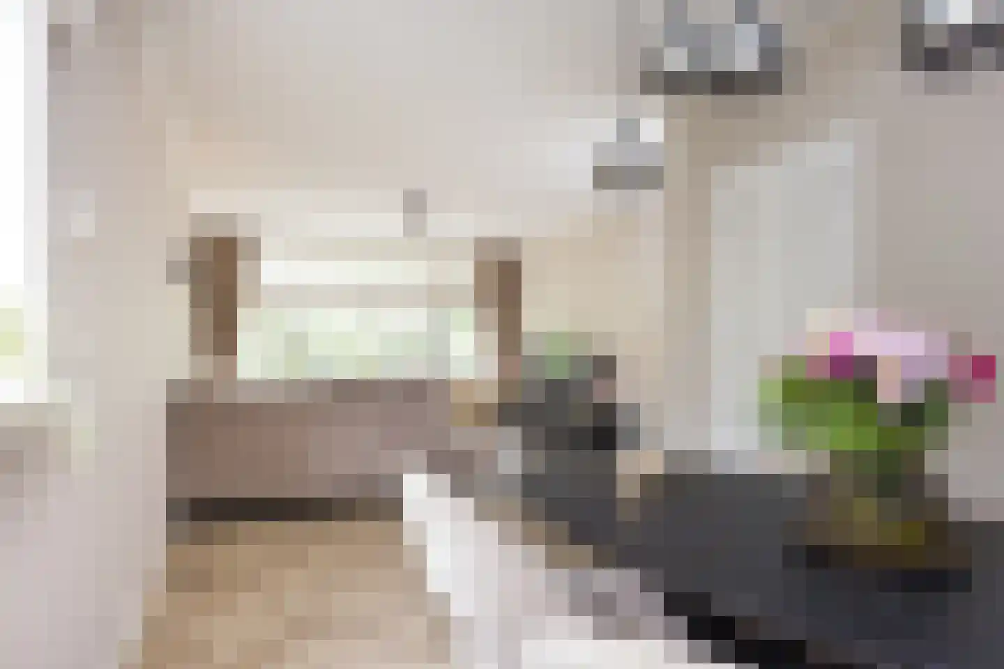 Berkenlaan 211 Zutphen thumbnail 8