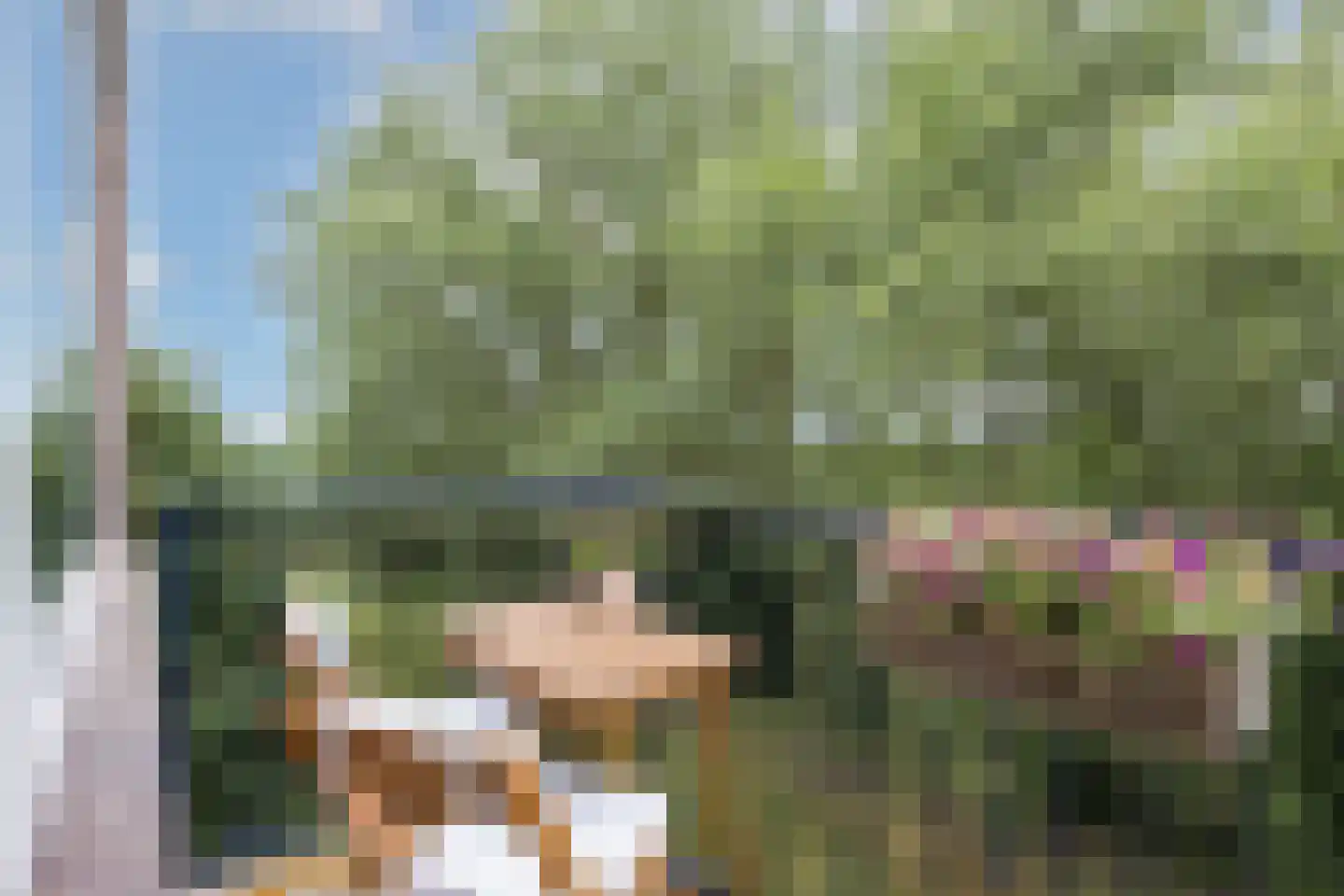 Berkenlaan 211 Zutphen thumbnail 9