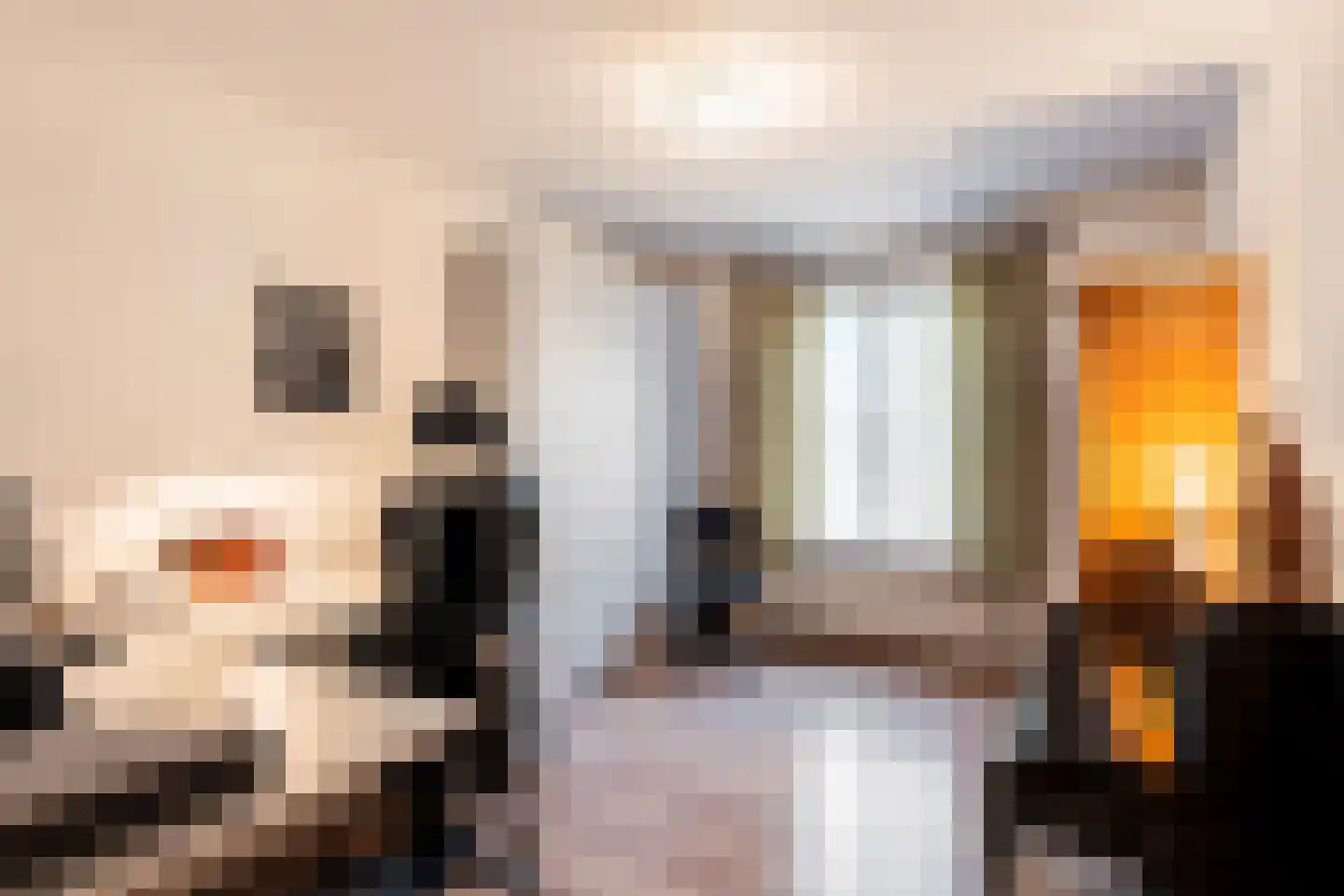 Berkenlaan 22 Rasquert thumbnail 13