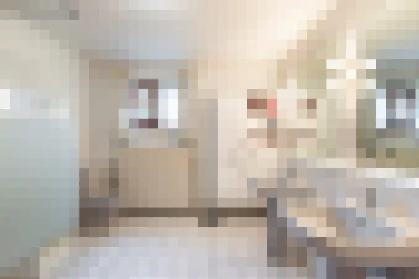 Berkenlaan 22 Rasquert thumbnail 15