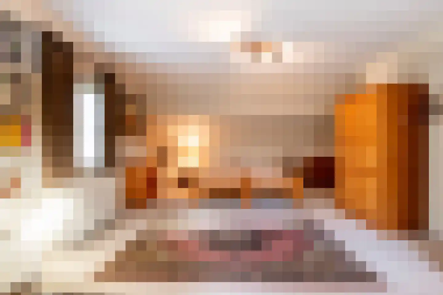 Berkenlaan 22 Rasquert thumbnail 18