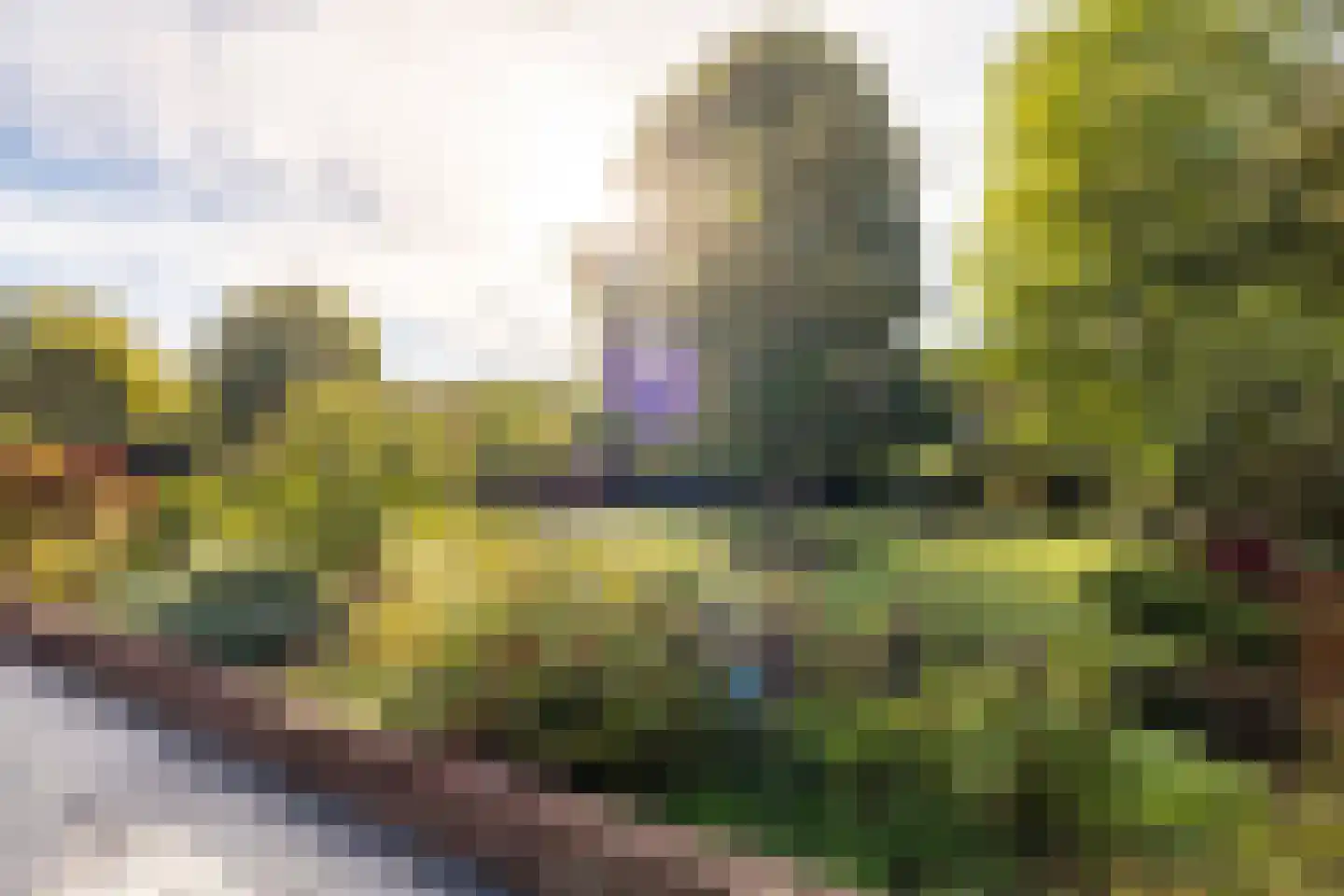Berkenlaan 22 Rasquert thumbnail 25