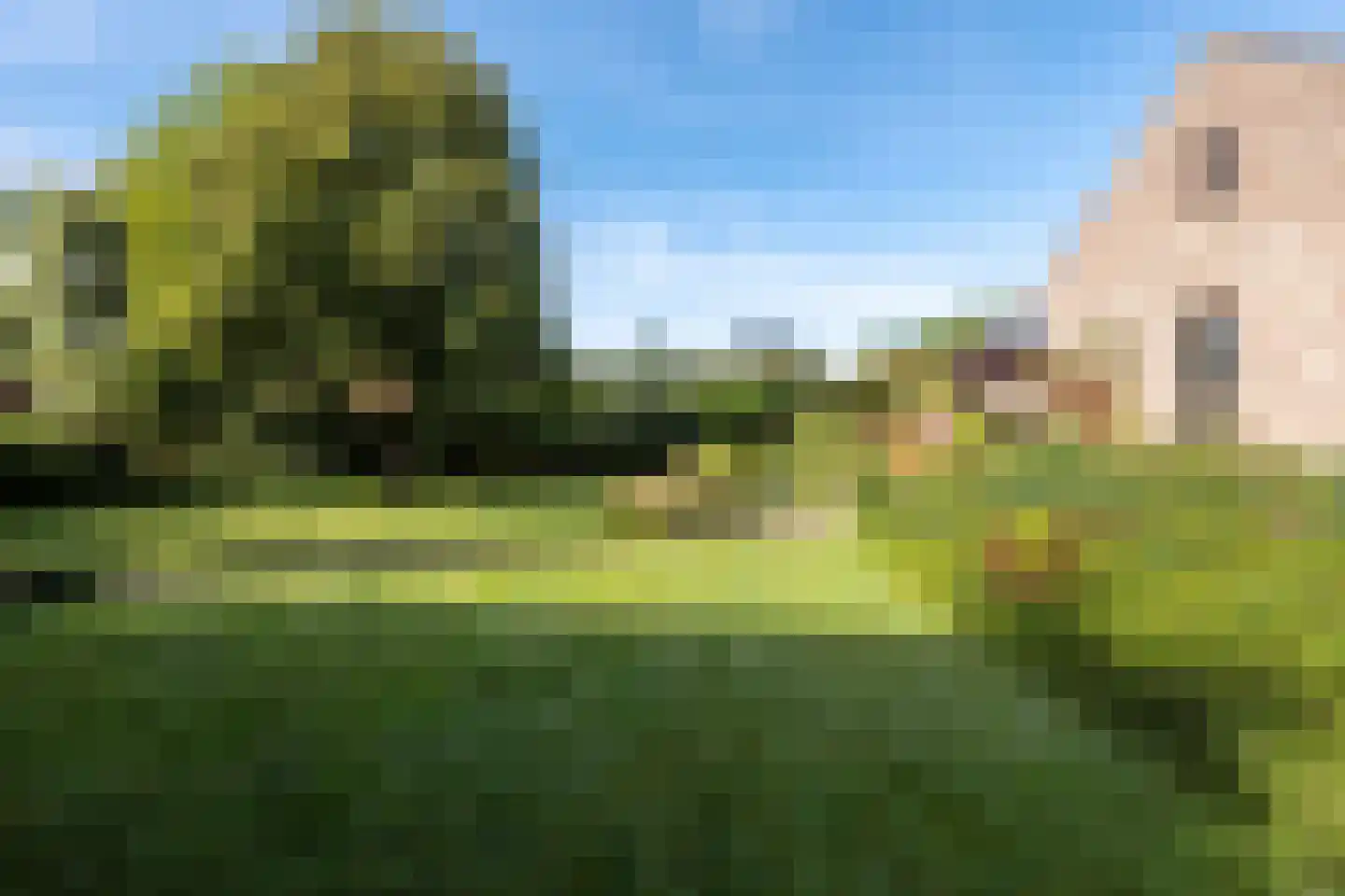 Berkenlaan 22 Rasquert thumbnail 26