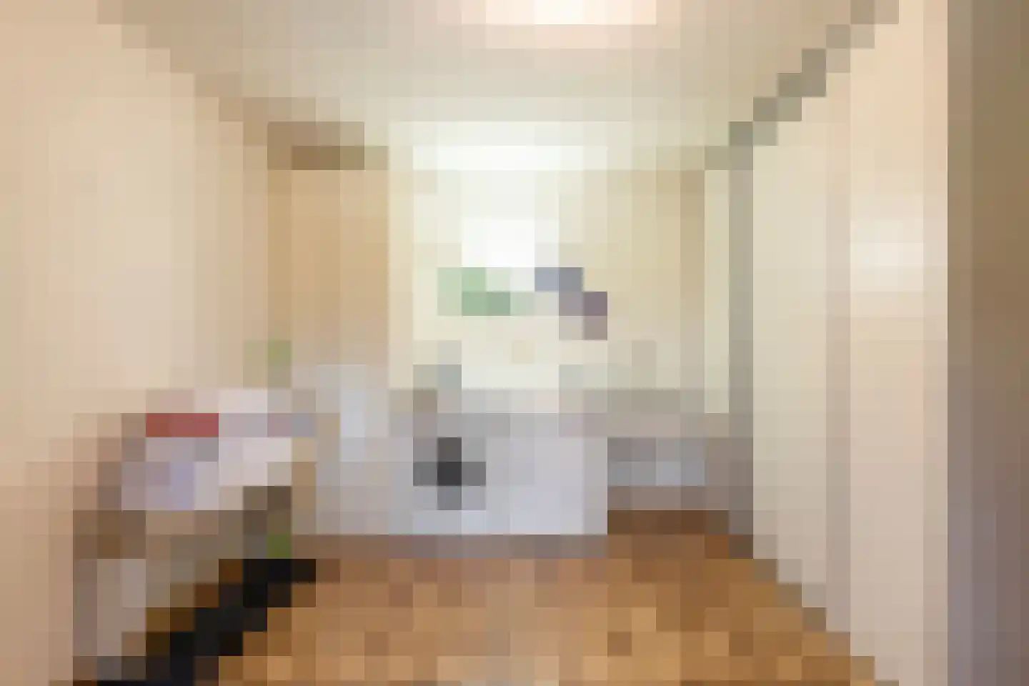 Berkenlaan 22 Rasquert thumbnail 33