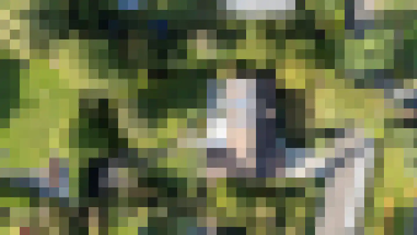 Berkenlaan 22 Rasquert thumbnail 4