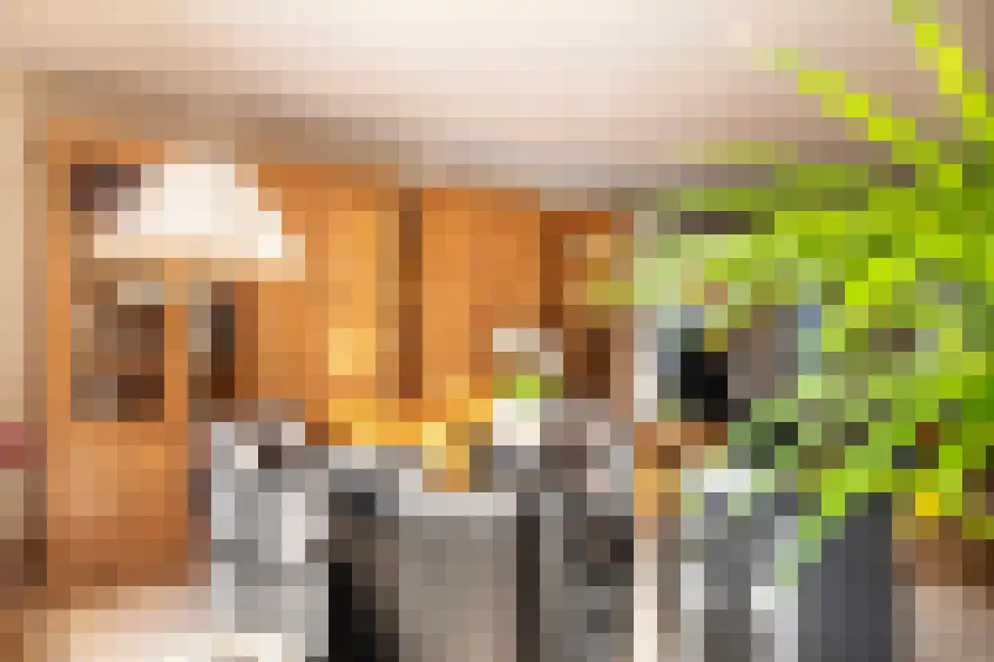 Berkenlaan 22 Rasquert thumbnail 7