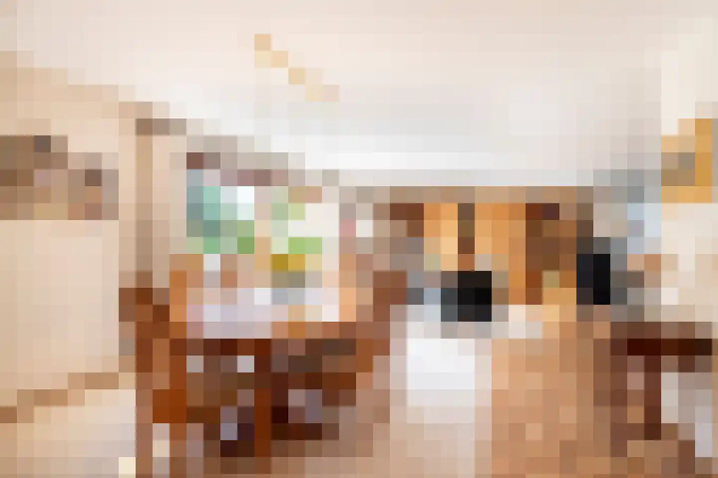 Berkenlaan 22 Rasquert thumbnail 9