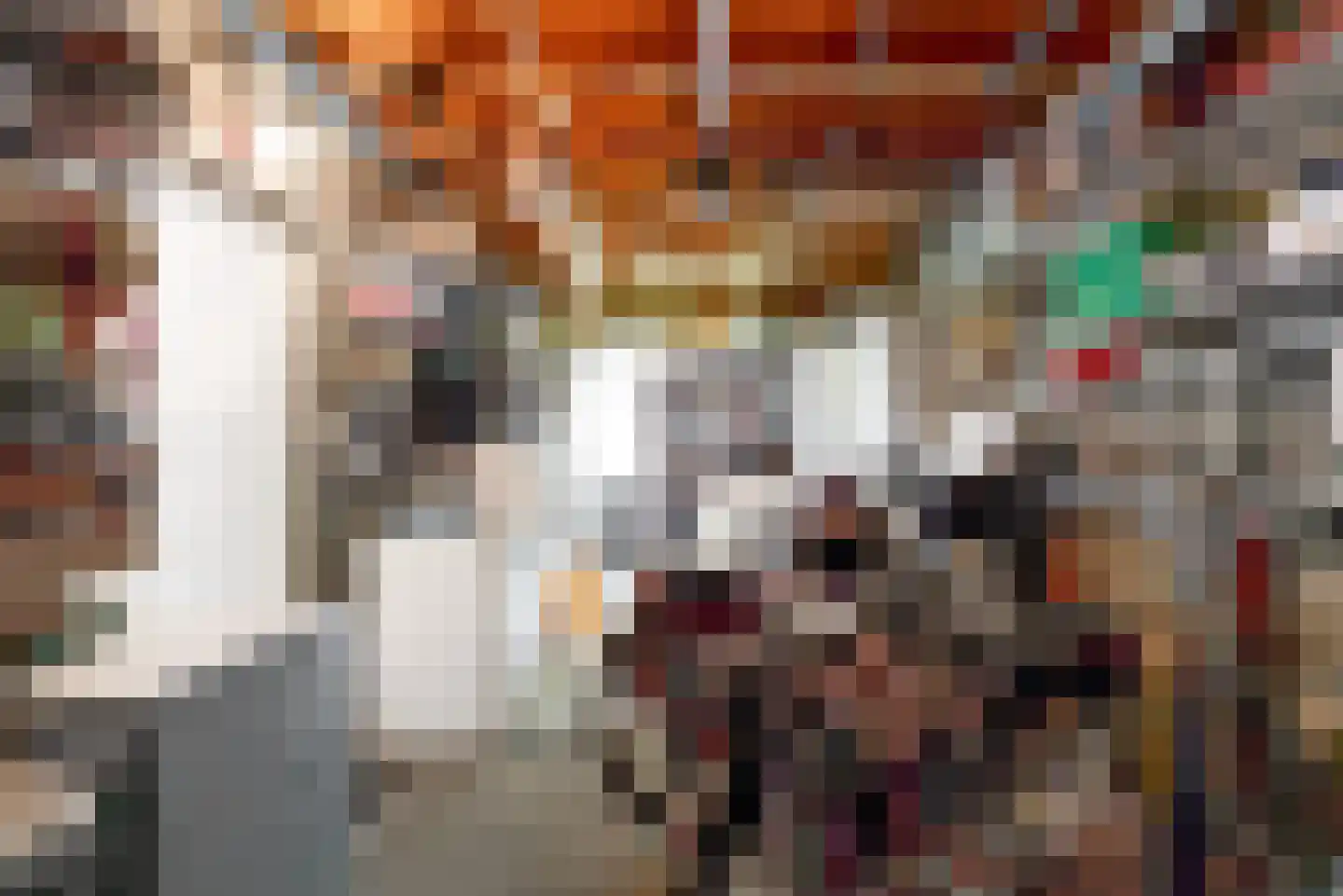 Berkenlaan 22 Sittard thumbnail 33