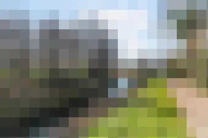 Berkenlaan 22 Sittard thumbnail 39